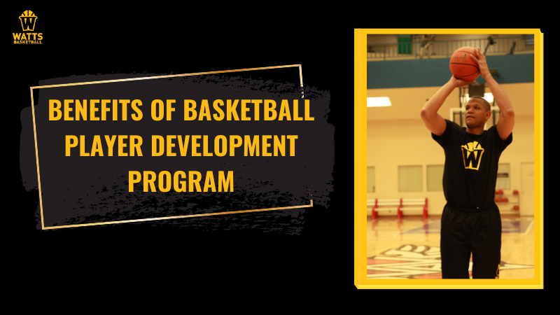 Basketball player development program
