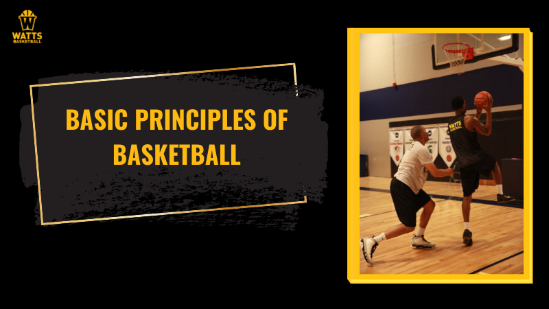 basic principles of basketball