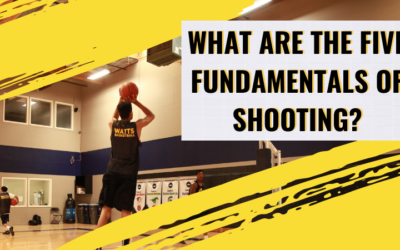 What are the Five Fundamentals of Shooting?