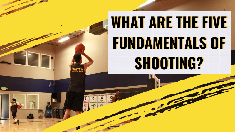 What Are The Five Fundamentals Of Shooting Watts Basketball