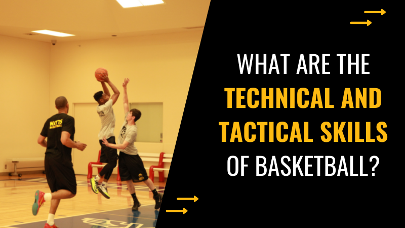 technical and tactical skills of basketball
