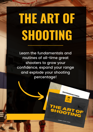 the art of shooting pdf
