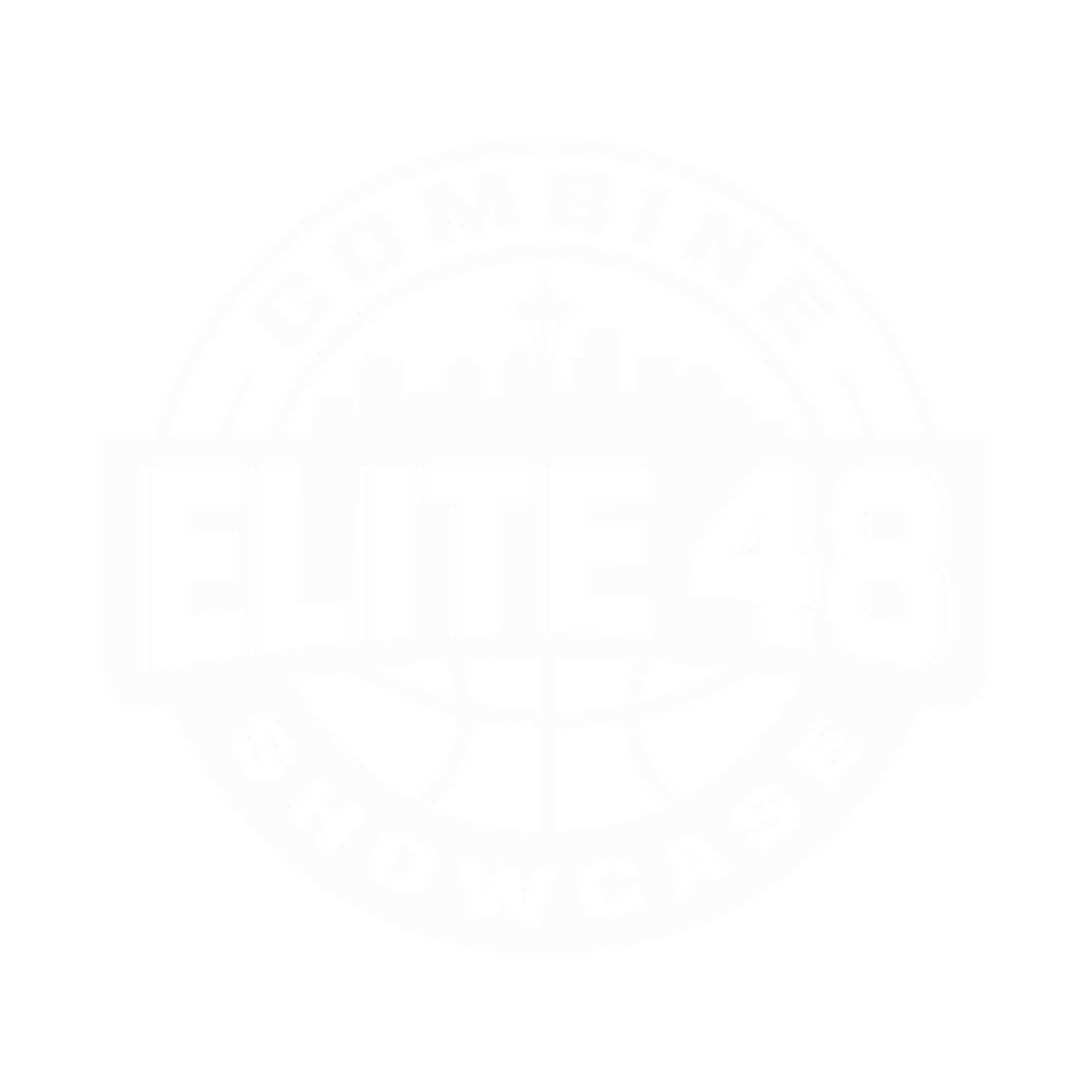 ELITE 48 WHITE fab 48 logo